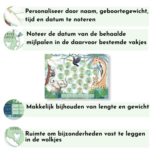 Mini Miles Milestoneposter A4 - Jungle green - Afbeelding 3