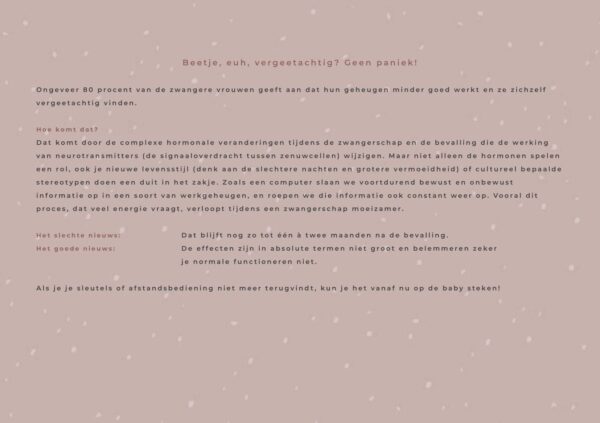 Mama Baas Het Echoboek - Afbeelding 11