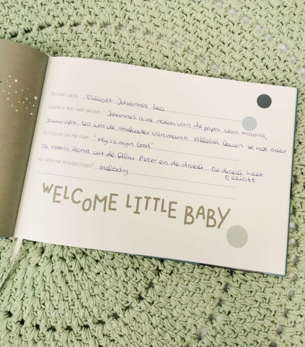 JEP! Kids Babyboek - Plumroze - Afbeelding 3
