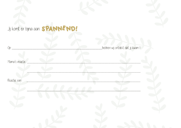 JEP! Kids Babyboek - Plumroze - Afbeelding 5
