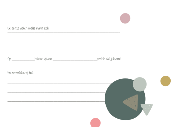 JEP! Kids Babyboek - Plumroze - Afbeelding 6