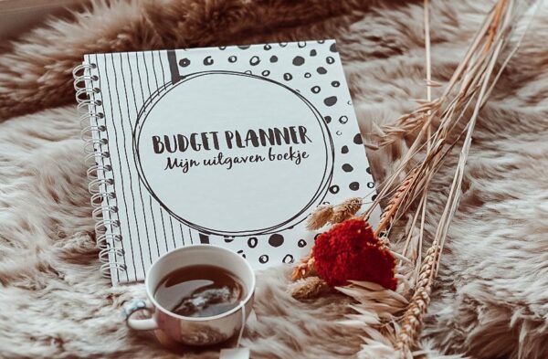 SilliBeads Mijn Budget planner - Afbeelding 12