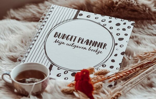 SilliBeads Mijn Budget planner - Afbeelding 3