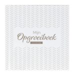 24/7 Stoer - Mijn opgroeiboek Brave
