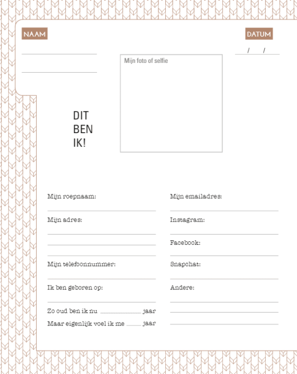 Het geweldige vriendenboek voor volwassenen - Blauw-roze - Afbeelding 8