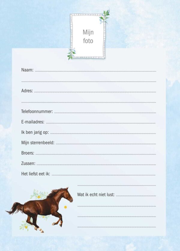 Ik hou van paarden vriendenboekje - Afbeelding 6