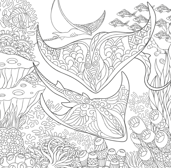 Magical ocean - Kleuren voor volwassenen - Afbeelding 8