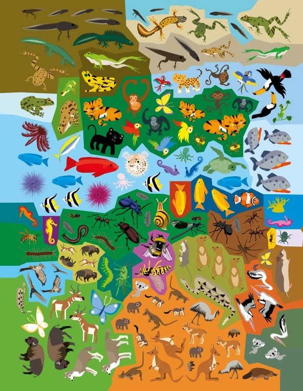 Super Stickerpret - Dieren - Afbeelding 6