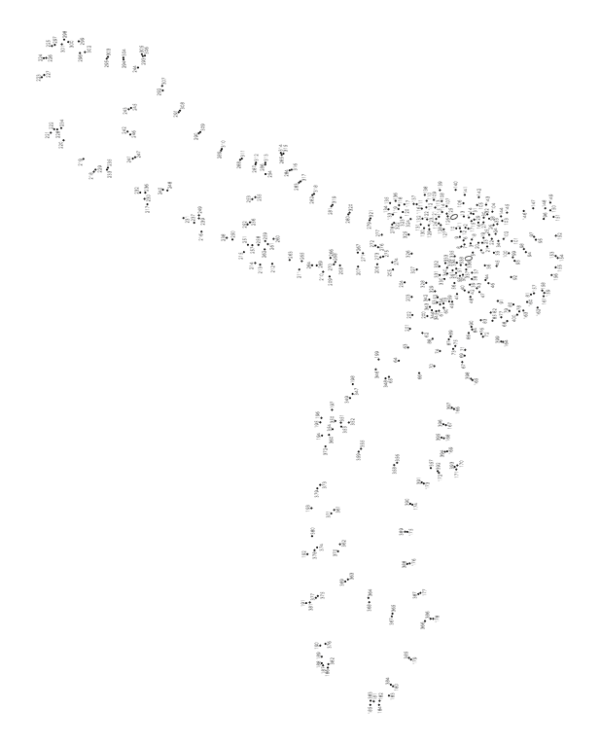 Tekenen van punt tot punt voor volwassenen - Flora en fauna - Afbeelding 3
