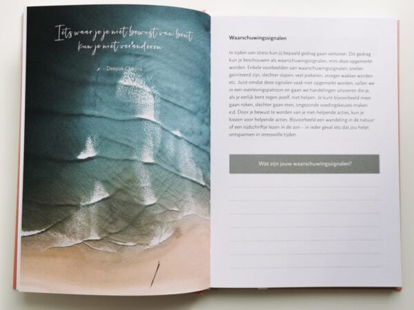 Happy in Bikini journal - Invuldagboek - Afbeelding 6