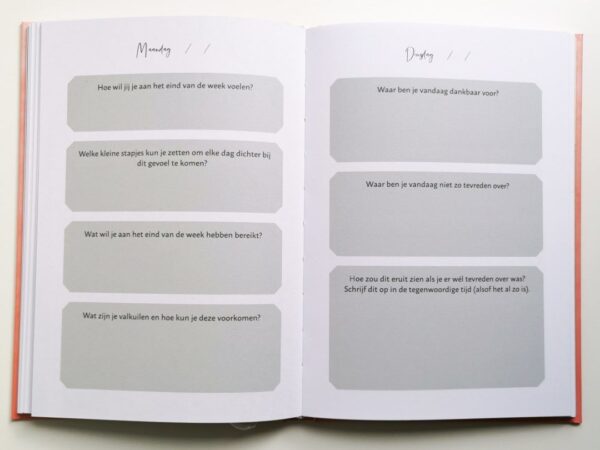 Happy in Bikini journal - Invuldagboek - Afbeelding 5