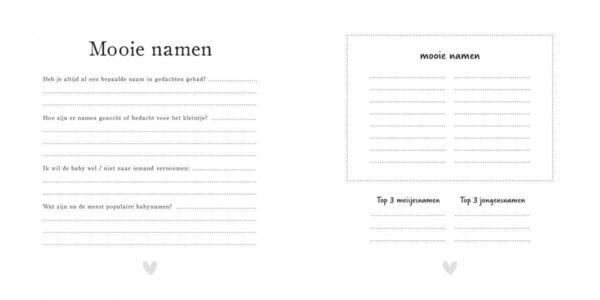 Pink Peach Mijn 9 maanden dagboek - Linnen beige/zand (eerdere versie) - Afbeelding 28