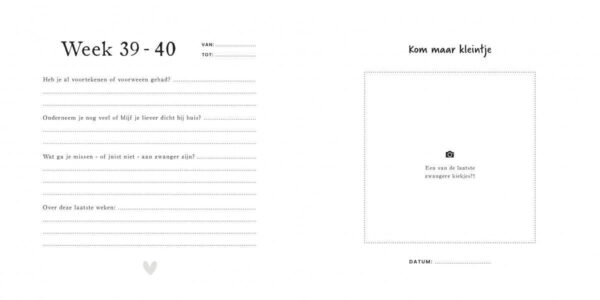 Pink Peach Mijn 9 maanden dagboek - Linnen beige/zand (eerdere versie) - Afbeelding 36