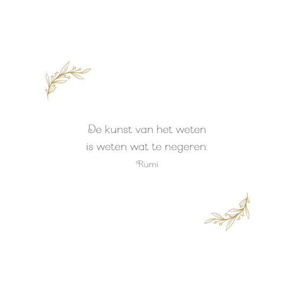 Mandala meditations kleurboek - Afbeelding 3