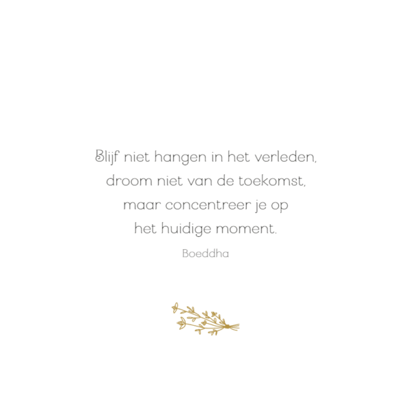 Mandala meditations kleurboek - Afbeelding 7