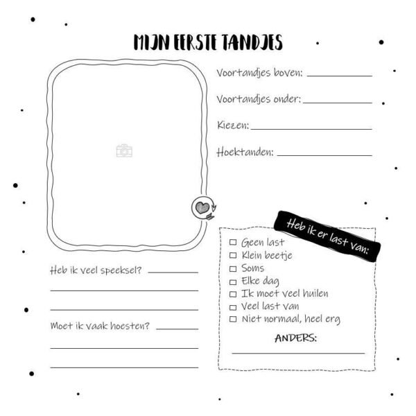 SilliBeads Mijn grote XL opgroeiboek - Panterprint - Afbeelding 5