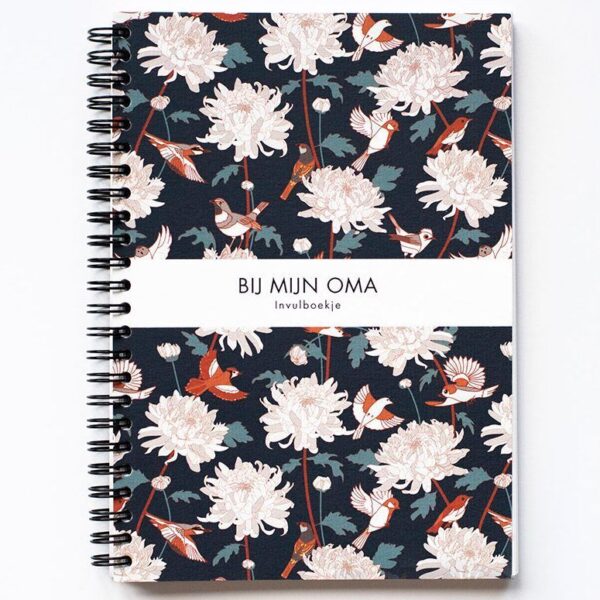 Leukigheidjes Bij mijn Oma invulboek