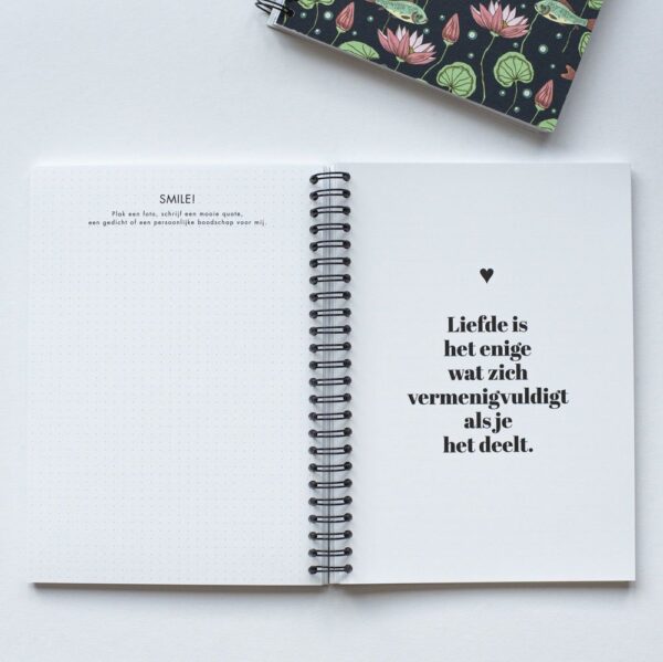 Leukigheidjes Bij mijn Oppas invulboek - Afbeelding 6