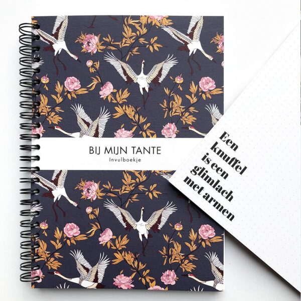 Leukigheidjes Bij mijn Tante invulboek - Afbeelding 7