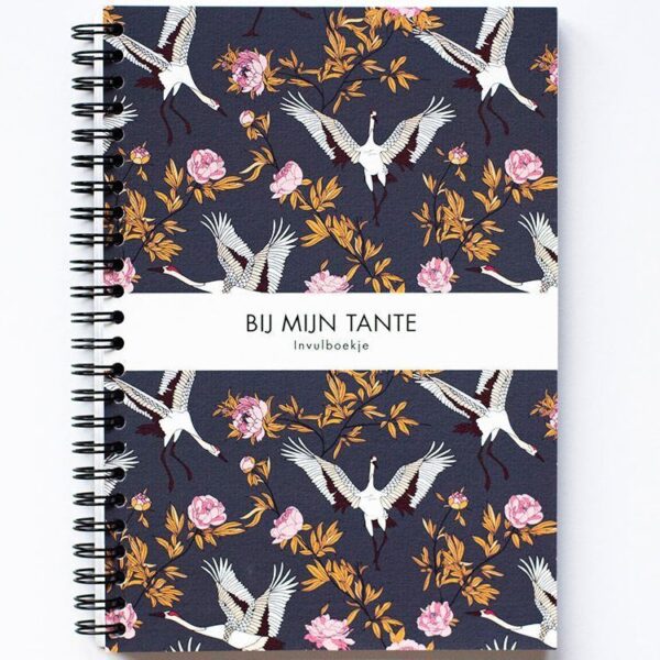 Leukigheidjes Bij mijn Tante invulboek