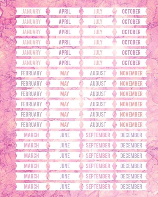 Mascha Planner Pink Edition - Afbeelding 3