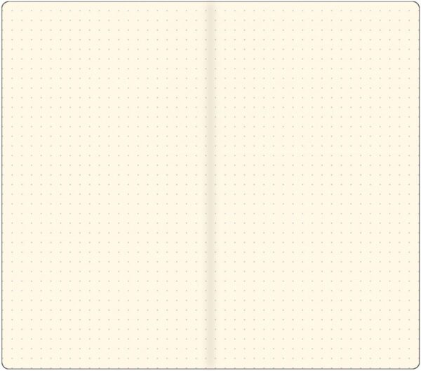Peter Pauper Notitieboek Voyager navulling dotted - Afbeelding 2