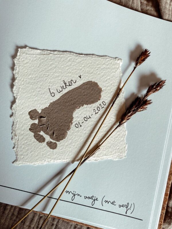 KIDOOZ Mijn eerste jaar babyboek - Linnen Sandy - Afbeelding 4