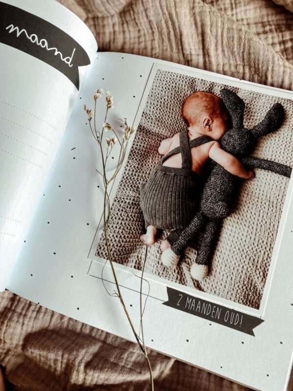 KIDOOZ Mijn eerste jaar babyboek - Linnen Sandy - Afbeelding 3
