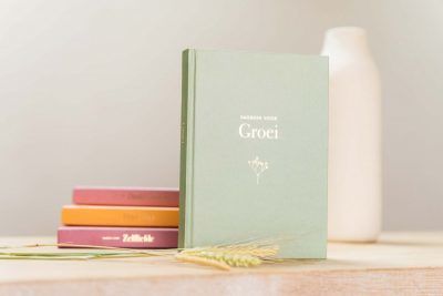 Elma van Vliet – Dagboek voor Groei Boeken met gratis verzending