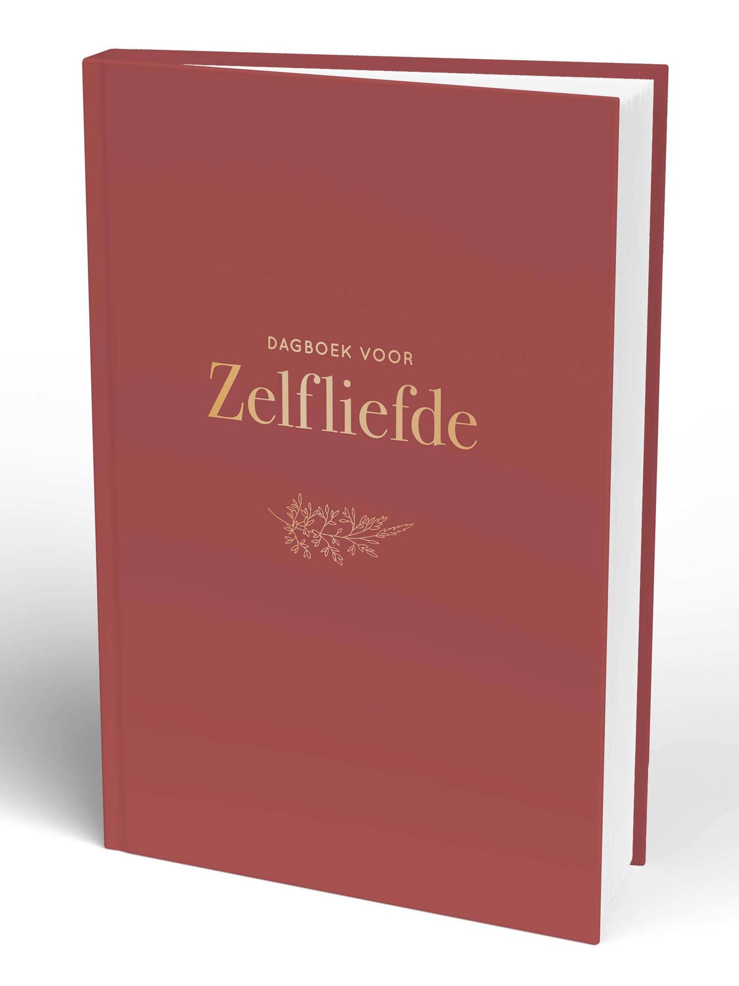 Noodlottig Aantrekkingskracht Mooie jurk Elma van Vliet - Dagboek voor Zelfliefde Kopen? ⋆ Invulboekjes.nl