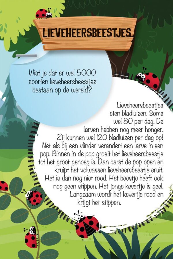 Zo doe je dat – Avontuur in de natuur - Afbeelding 2