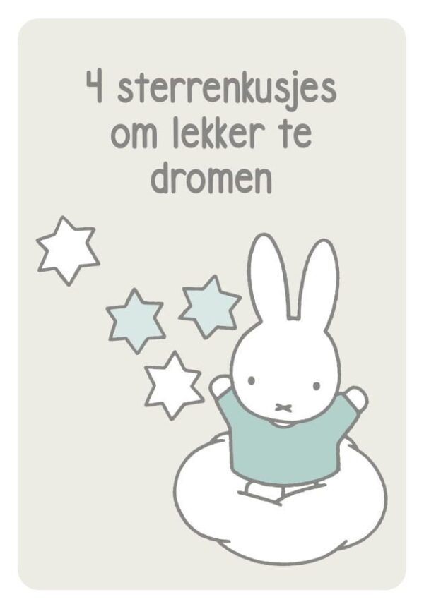 Welterusten, Nijntje – Muziekblikje - Afbeelding 4