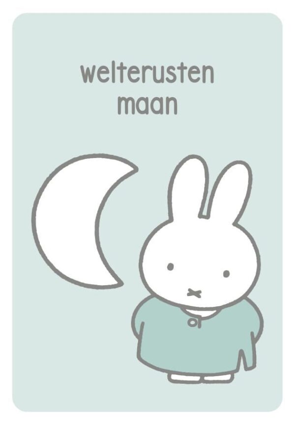 Welterusten, Nijntje – Muziekblikje - Afbeelding 9