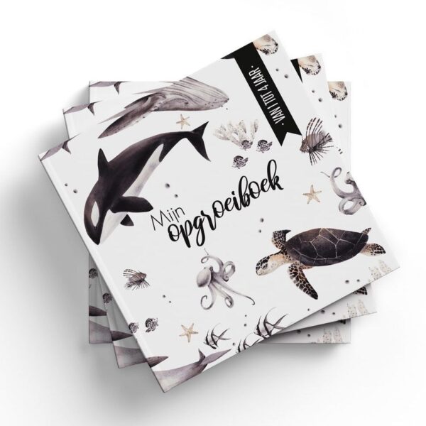 24/7 Stoer - Mijn opgroeiboek Under the sea - Afbeelding 6