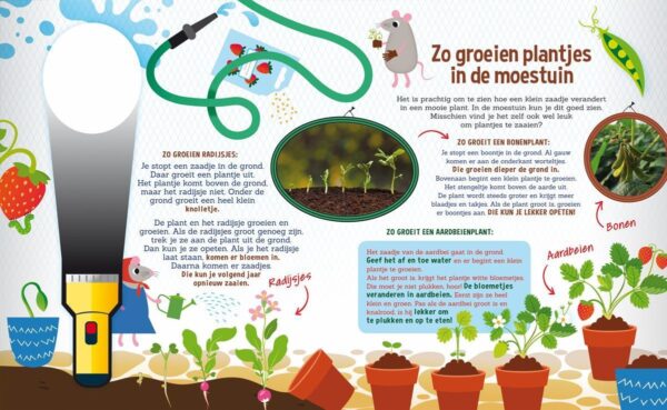 Speuren in de tuin - Voorleesboek - Afbeelding 4