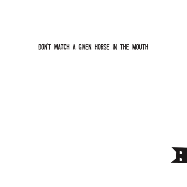 Don't watch a given horse in the mouth - Quote boekje - Afbeelding 4