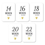 16.mijlpaal Zwanger 03
