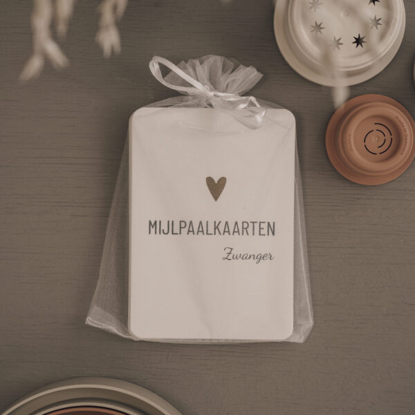 Lifestyle2love Mijlpaalkaarten Set Zwanger (1)