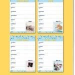 Ao 9789464323726 Rh Cats Weekkalender
