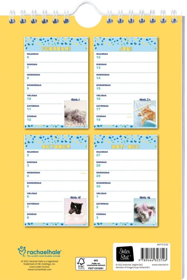 Ao 9789464323726 Rh Cats Weekkalender