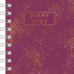 Pv.1.30169464
