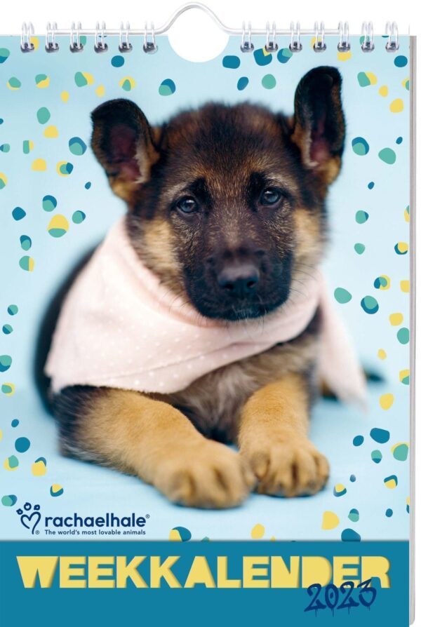 Vp 9789464323733 Rh Dogs Weekkalender