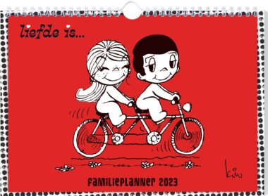 Vp 9789464323849 Liefde Is Familieplanner