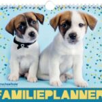 Vp 9789464323870 Racheal Hale Dogs Familieplanner