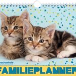 Vp 9789464323887 Racheal Hale Cats Familieplanner