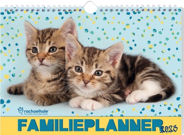 Vp 9789464323887 Racheal Hale Cats Familieplanner