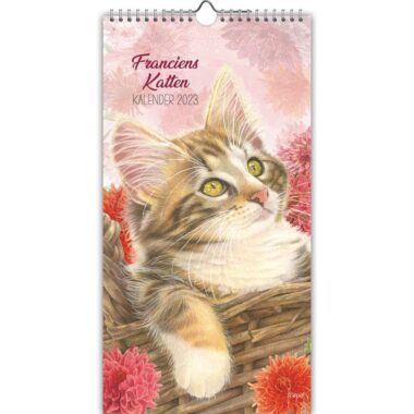 Franciens Katten Maandkalender Boskat 8716467675249