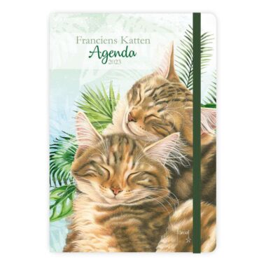 Franciens Katten Weekagenda Boskat Kittens 8716467674457