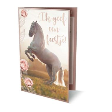 Interstat Uitnodigingen Paarden 8712048319403