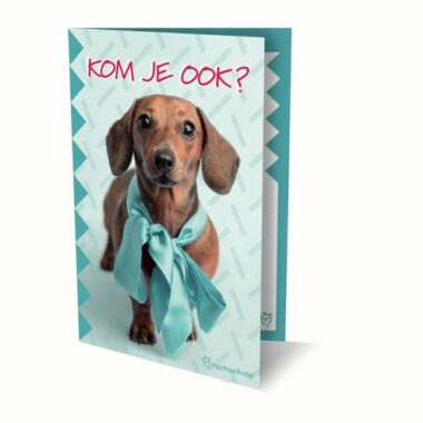 Interstat Uitnodigingen Rachael Hale Hond 8712048315214